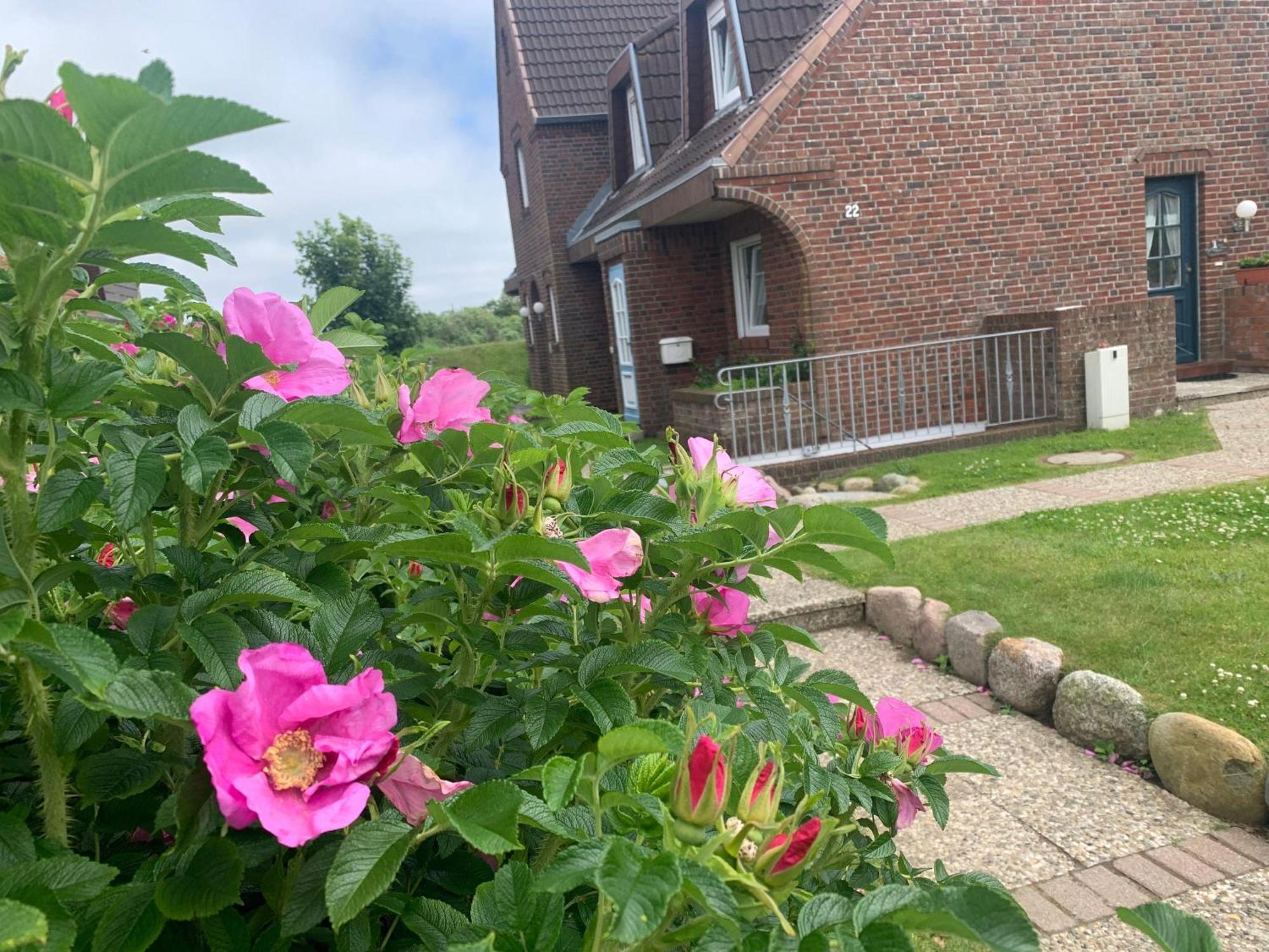 Apartment Sylter-rose-3a-strandnahe-ferienwohnung-mit-strandkorb Westerland